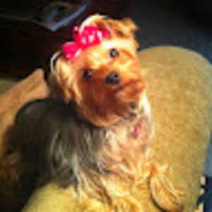 Meet your Posher, Kim